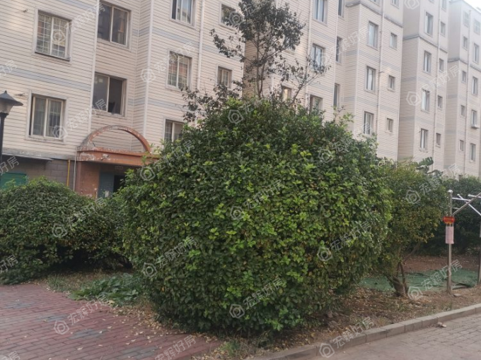 张店区阳光馨园86.00平米2室2厅二手房出售