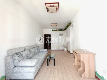 金色堤岸